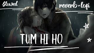 "Tum Hi Ho" Aashiqui 2 Full Song With Lyrics | Aditya Roy Kapur, Shraddha Kapoor lofi