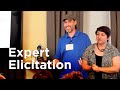 Expert Elicitation