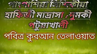 ছোট্ট সোনা মনিটার কন্ঠে সুমধুর তেলাওয়াত মোঃজাহিদুল ইসলাম পাংগাশিয়া ছিদ্দীকীয়া হাফিজী মাদ্রাসা