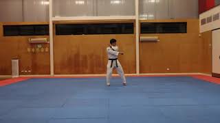 Basic Poomsae (Little Tigers \u0026 White Belt) - 16 Steps