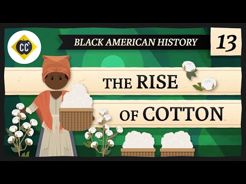 How did cotton affect the South?