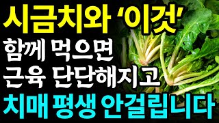 시금치와 함께 먹으면 보약되는 음식 3가지와 레시피 총정리! 값비싼 영양제 대신 '이것' 드세요 I 치매에 좋은 음식 I