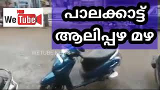 പാലക്കാട്ട് ആലിപ്പഴ മഴ I Heavy rain and hail fall at Palakkad | change of Climate