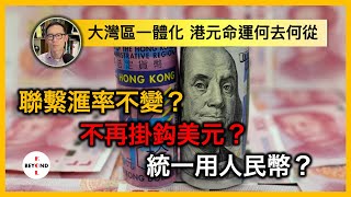 大灣區一體化 港元命運何去何從：聯繫滙率不變？ 不再掛鈎美元？ 統一用人民幣？