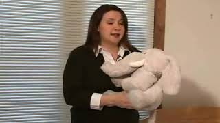 Reducing Allergies: Stuffed Animals