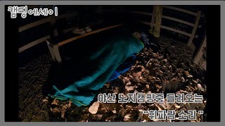 [캠핑 에세이] 노지캠핑 \