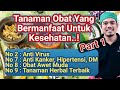 Harus Tahu.! Tanaman Tanaman Yang bermanfaat, Tanaman Untuk Obat, Jenis jenis tanaman herbal, Part 1