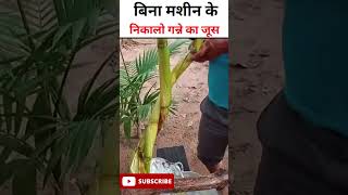 बिना मशीन के निकालो गन्ने का जूस 🥤Make sugarcane juice without any machine #shortvideoindia #Jugad