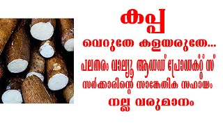 Business ideas Malayalam | Tapioca | organic tapioca cultivation | how to plant tapioca