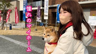 愛犬と暮らす夢のマイホームにまた一歩近づきました！