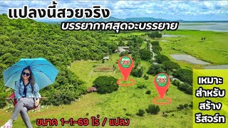 🌈ที่ดิน1ไร่1งาน 🌊หน้าติดน้ำ🏞️หลังติดเขา💐ฮวงจุ้ยดีแถมสวย 🏡เหมาะปลูกบ้านพักตากอากาศ (📋นส.3ก.) 💰2.5ล.