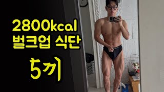 누구나 쉽게 벌크업 식단 만드는 방법 (식단vlog, 밀프랩, 식단도시락)