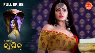 Puni Pherichi Naagin | Full Episode 68 | Dangal Odia | ପୁଣି ଫେରିଛି ନାଗୀନ | #punipherichinaagin