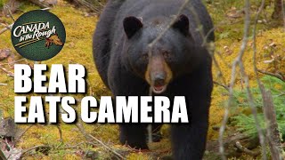 A Bear Ate Our Camera! | Canada in the Rough