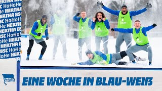 HaHoHe - Eine Woche in Blau-Weiß | 21. Spieltag | VfB Stuttgart vs. Hertha BSC