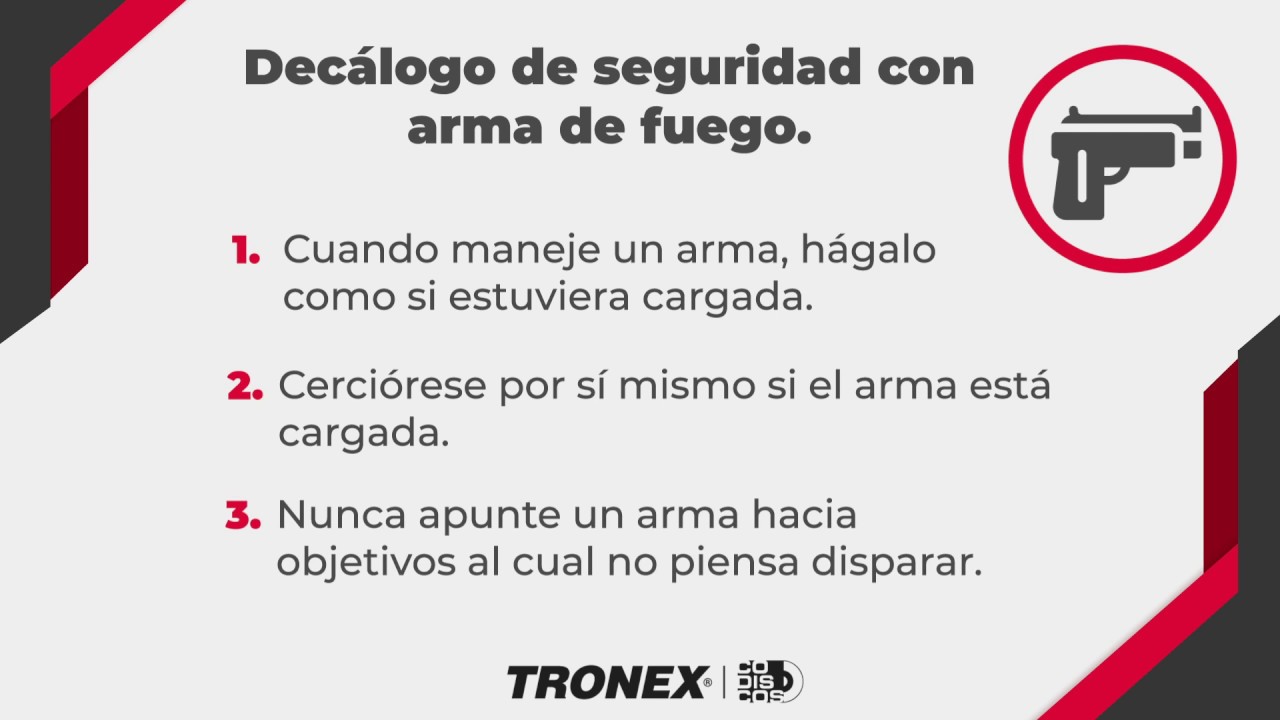 Legación Milagroso Corbata Decalogo De Seguridad Con Las Armas De Fuego ...