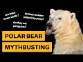 Polar Bear Mythbusting [6 Questions Answered]