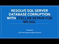 Resolve SQL Server Database corruption with Stellar Repair for MS SQL