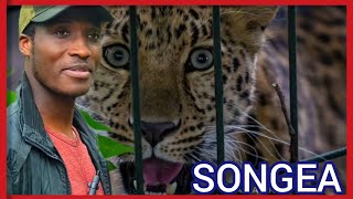 #vlog Ruhila Zoo Songea, Ruvuma: The Hidden Gem Revealed