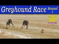 Dogs Race | Dori Tack Race M.wala Fsd | Round 1 | 19-02-24  #dog #greyhound #pets #puppy