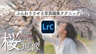 Lightroomで桜写真現像【ふんわり・ゆるふわ編集方法】