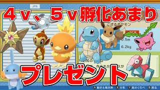 【ダイパリメイク】４V、５V孵化あまり配布します！ランダムバトルしながら【ポケモンBDSPシャイニングパール】