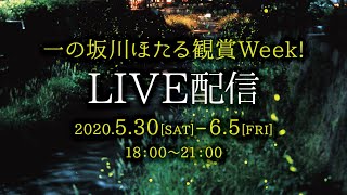 5/31（日）一の坂川ほたる観賞Week!動画生配信