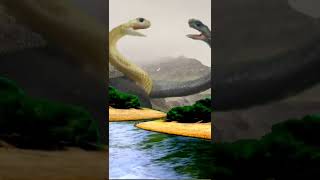 See how snakes honor love | 2022 new funny video #shorts #viral