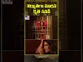 నిర్మాతగా మారిన కృతి సనన్ kriti sanon tv9