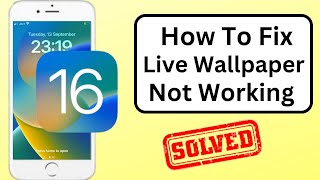 Fix Live Wallpaper Not Working iOS 16 | How to Get Live Wallpapers on iPhone iOS 16