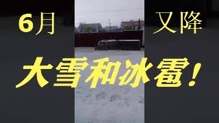 6月了東北吉林省又下大雪冰雹了！產糧大省的糧食將遭重創。網友：冤情太大了。哈恩