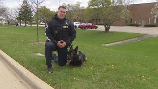 Lake County Sheriff's K-9 helps bust home invasion suspect