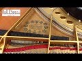 Circus Galop (HD) Live Recording On A Steinway Grand