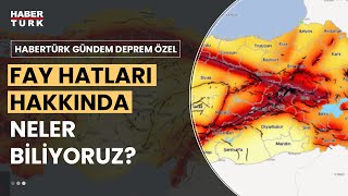 Deprem bölgesindeki artçı depremler ne zaman biter?  Prof. Dr. Şerif Barış değerlendirdi