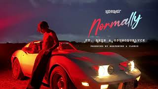 Joeboy - Normally (feat. BNXN & Odumodublvck) [ Music Audio]