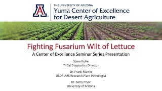 Fighting Fusarium Wilt of Lettuce: A Center of Excellence Seminar Series Presentation