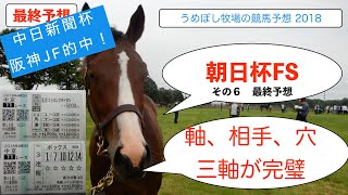 【朝日杯フューチュリティステークス 2018】最終予想 ～穴含め推したい４頭～