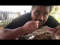 fiancé eating horse mukbang tonga🐴 🤭😭 jlp