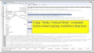 EmEditor Sticky Vertical Mode command