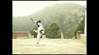 Wudang Bagua Flying Dragon Sword Form