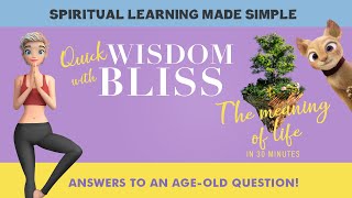 Quick Wisdom with Bliss: The Meaning Of Life