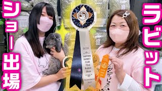 国宝級に可愛いうさぎの祭典、ラビットショー行ってきた！ RABBIT SHOW 2023冬