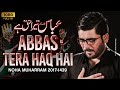 Abbas(as) Tera Haq Hai | Mir Hasan Mir | New Noha 2017 /1439 [HD]