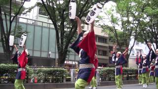 2013 原宿スーパーよさこい 2日目 帯屋町筋ジュニア隊 表参道アベニュー