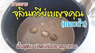 EP_007 บ้านสวนพิรดา - การขยายเชื้อจุลินทรีย์เบญจคุณ (แบบน้ำ)