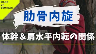 肋骨の内旋可動域と体幹回旋・肩水平内転との関係