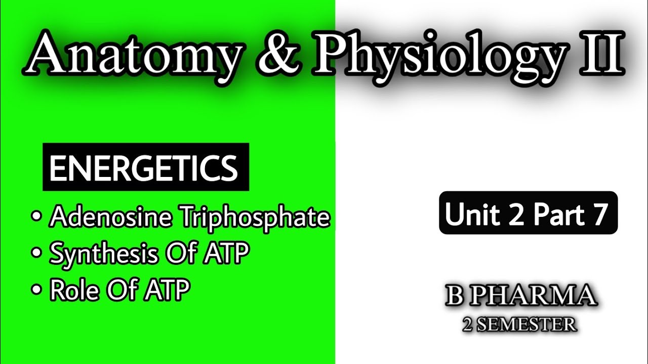 ADENOSINE TRIPHOSPHATE | BIOSYNTHESIS OF ATP | ROLE OF ATP | STRUCTURE ...