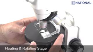 Microscopes 101: Stereo vs. Compound