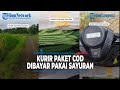 Viral Kurir Paket COD Dibayar Pakai Kacang Panjang dan Oyong #tribunlampung