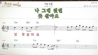 하늘 눈물/동후👍노래 반주, 코드 악보,가라오케💋Karaoke*Sheet Music*Chord*MR